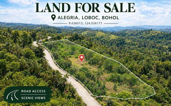 Land Lot for Sale Loboc, Bohol, Central Visayas. Photo#1