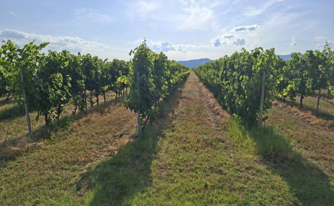 Land Lot for Sale Matenita, Hisarya. Photo#3 Land Lot for Sale Matenita, Hisarya. Photo#3