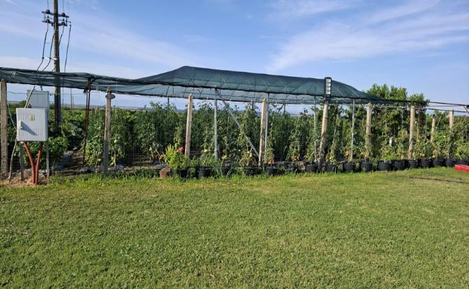 Land Lot for Sale Matenita, Hisarya. Photo#6 Land Lot for Sale Matenita, Hisarya. Photo#6