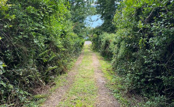 Land Lot for Sale Calle Linea Ferrea 100. Photo#2