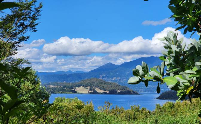 Land Lot for Sale Calle Linea Ferrea 100. Photo#3