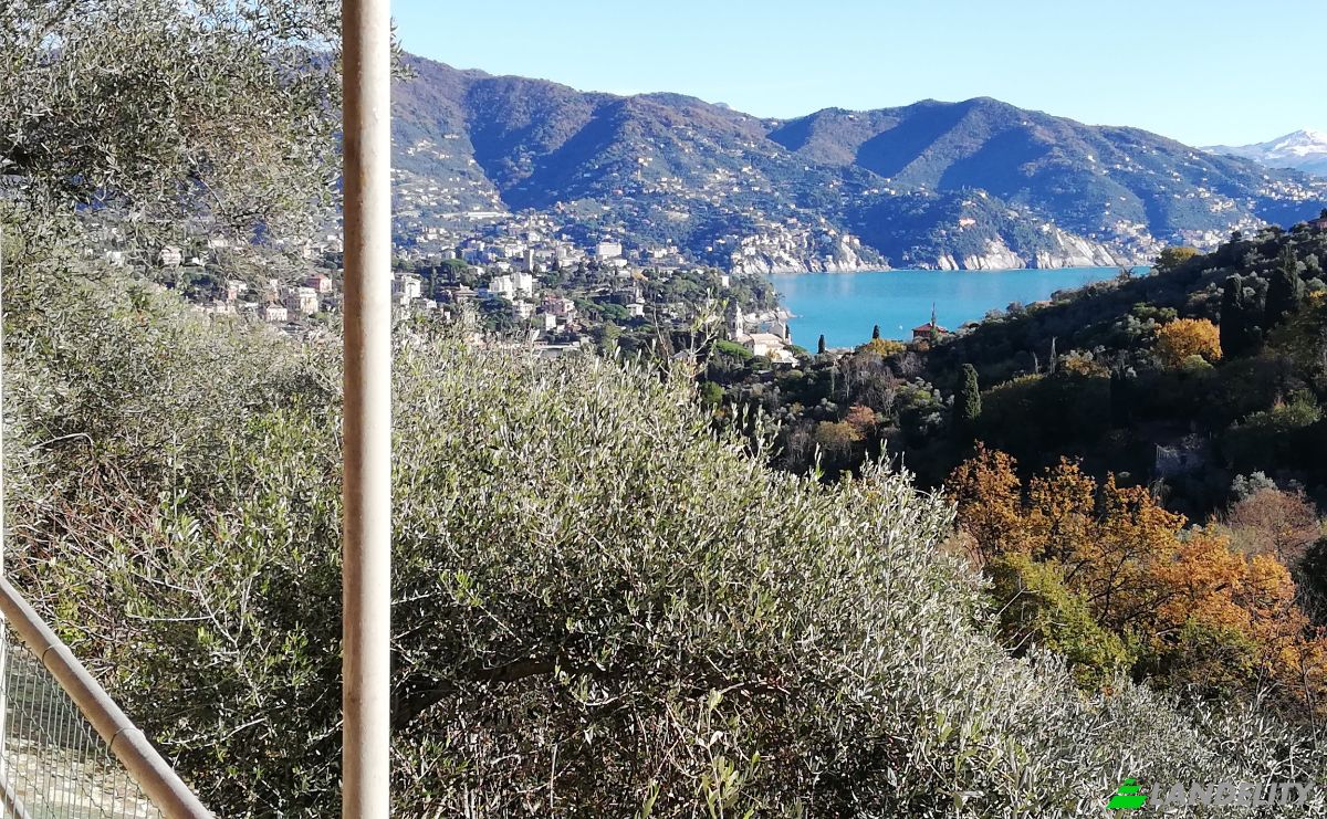 Villa for Sale V Costasecca, 16038 Santa Margherita Ligure GE, Santa Margherita Ligure, Metropolitan City of Genoa, Liguria, Italy. Photo 1