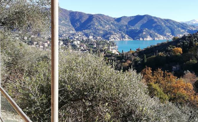 Villa for Sale V Costasecca. Photo#1