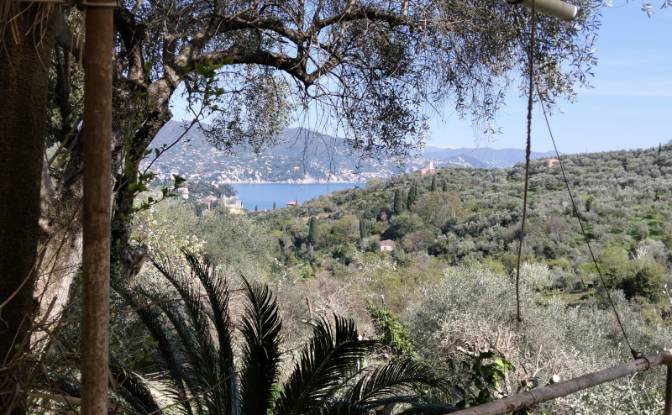Villa for Sale V Costasecca. Photo#4