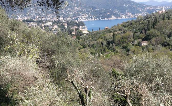 Villa for Sale V Costasecca. Photo#3
