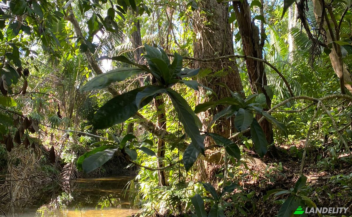 Land Lot for Sale Valley of Peace, Cayo District, Belize. Photo 1