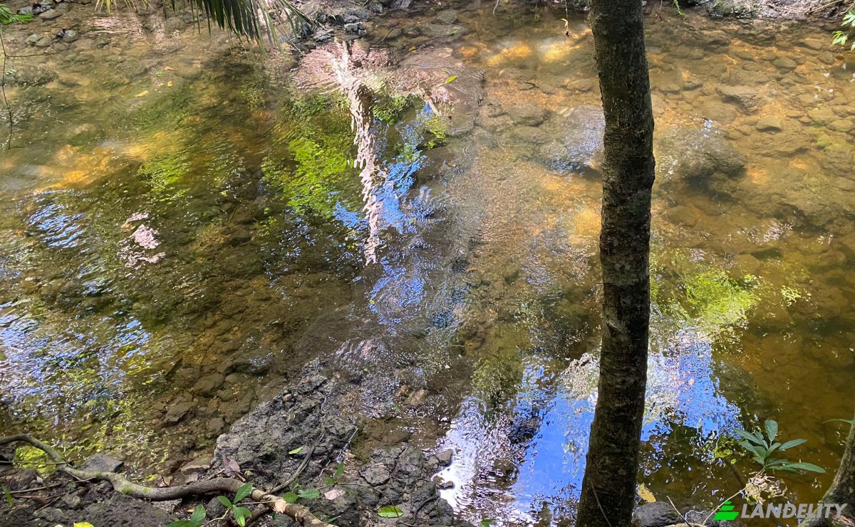 Land Lot for Sale Valley of Peace, Cayo District, Belize. Photo 3
