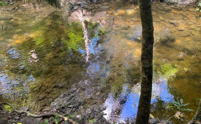Land Lot for Sale Valley of Peace, Cayo District. Photo#3
