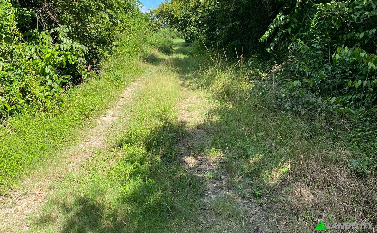 Land Lot for Sale Valley of Peace, Cayo District, Belize. Photo 4