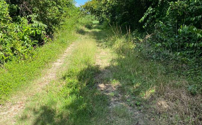 Land Lot for Sale Valley of Peace, Cayo District. Photo#4