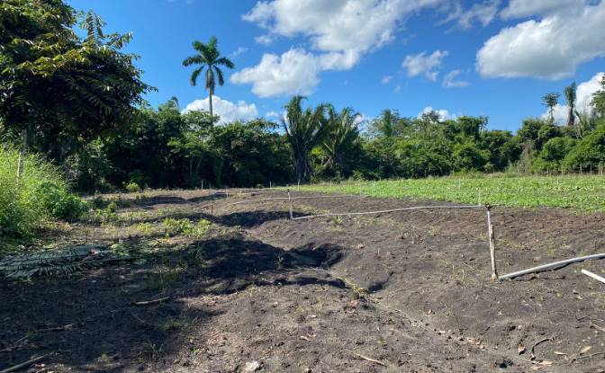 Land Lot for Sale Valley of Peace, Cayo District. Photo#5