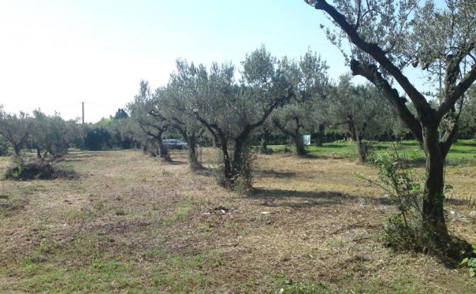 Land Lot for Sale Contrada Scalzino. Photo#2