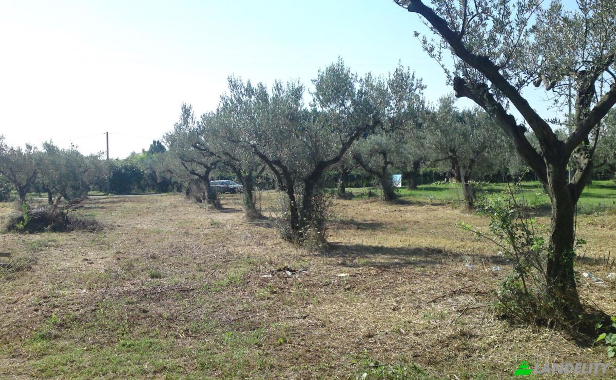 Land Lot for Rent Contrada Scalzino, 66020 Rocca San Giovanni CH, Rocca San Giovanni, Province of Chieti, Abruzzo, Italy. Photo 2