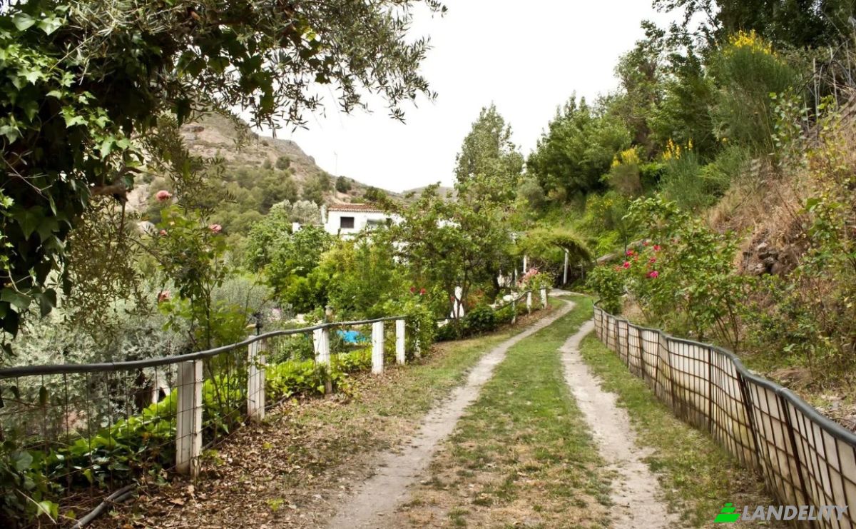 Fattoria/Ranch in vendita Torvizcon, Granada, Andalusia, Spain. Foto 12