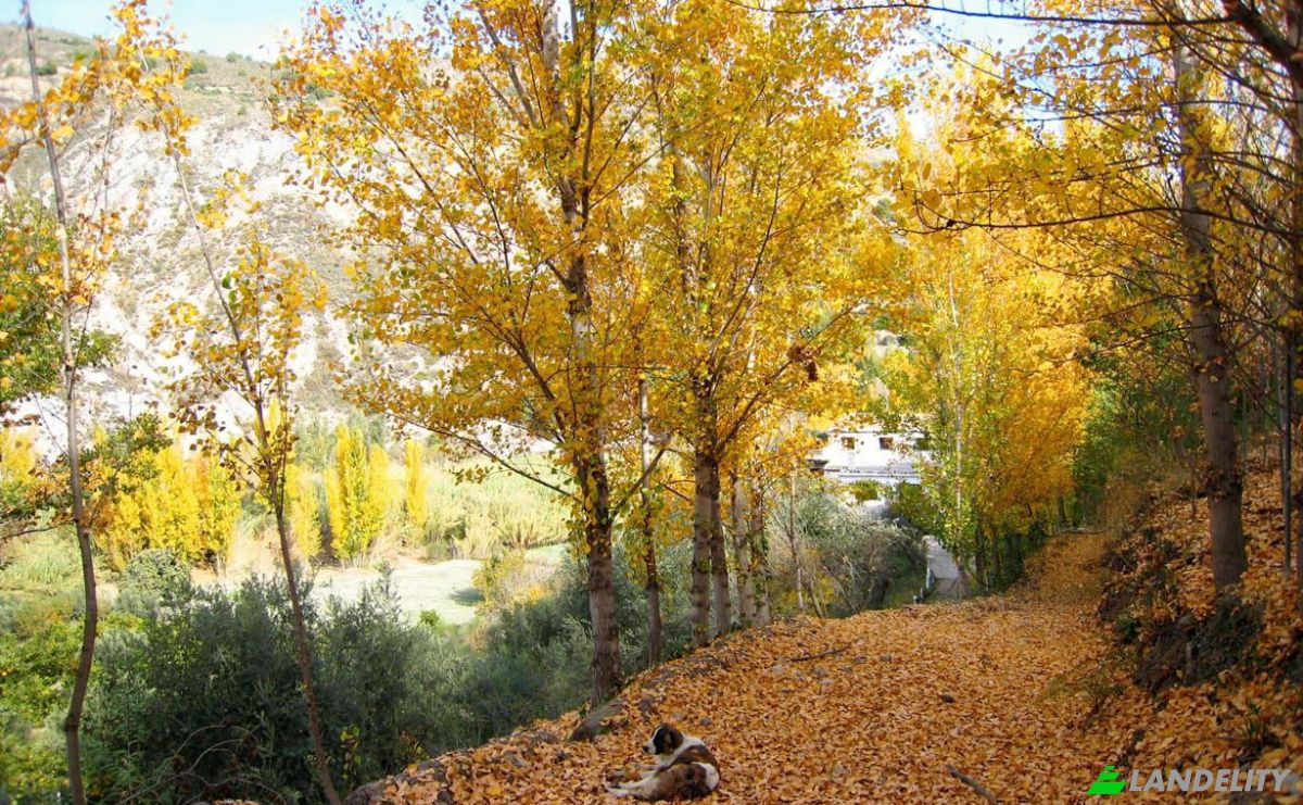 Fattoria/Ranch in vendita Torvizcon, Granada, Andalusia, Spain. Foto 13