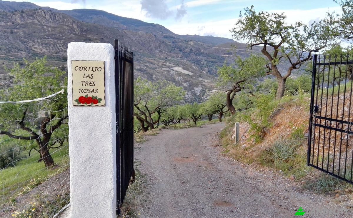 Fattoria/Ranch in vendita Torvizcon, Granada, Andalusia, Spain. Foto 3