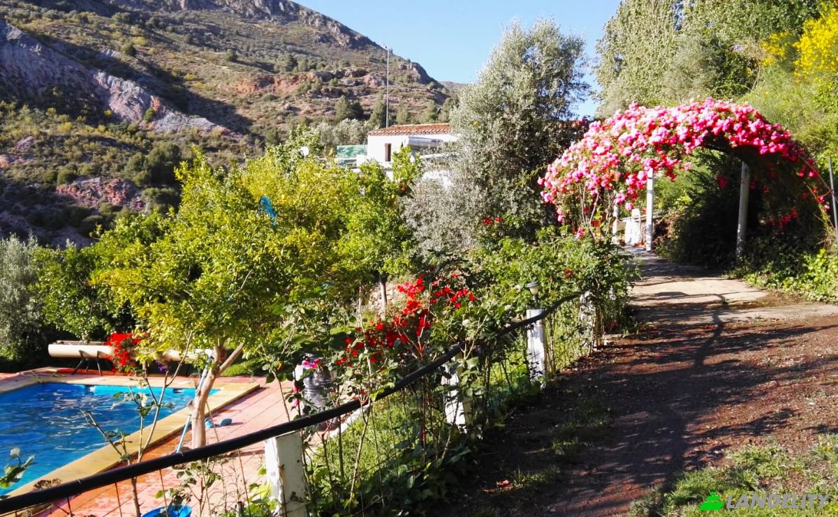 Fattoria/Ranch in vendita Torvizcon, Granada, Andalusia, Spain. Foto 1
