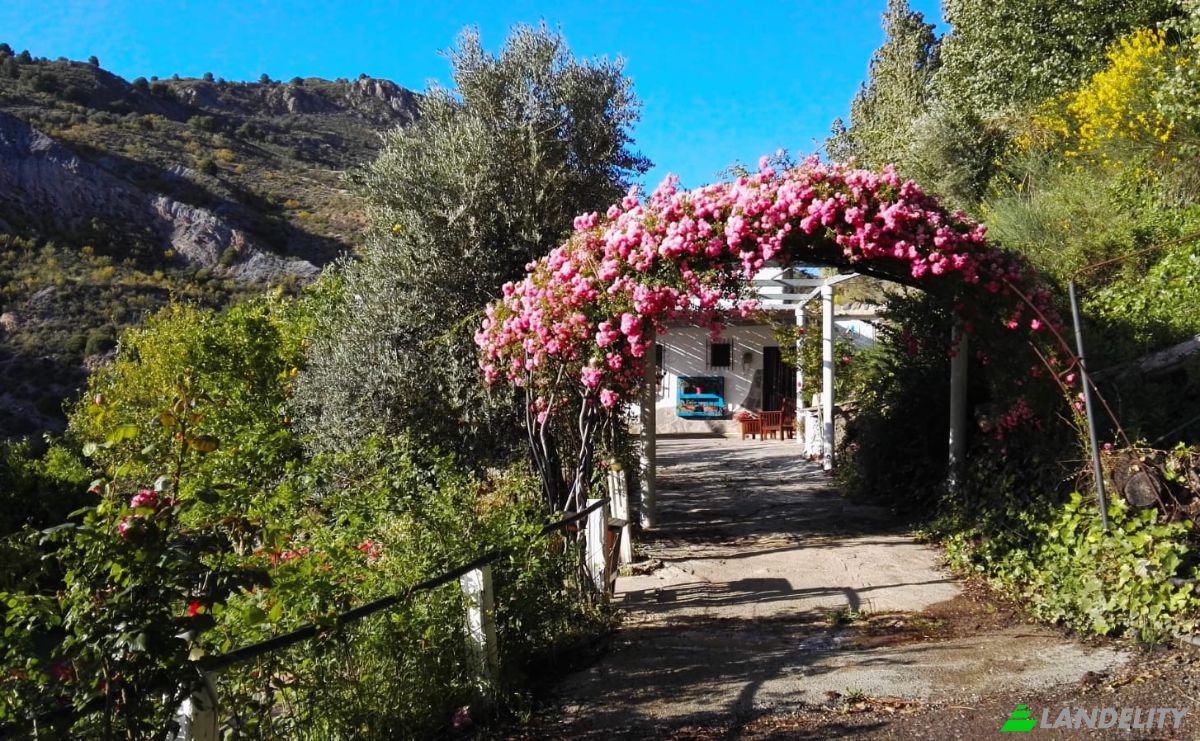 Fattoria/Ranch in vendita Torvizcon, Granada, Andalusia, Spain. Foto 2