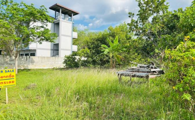 Land Lot for Sale 10177 Soi Naiyang 13 4. Photo#2 Land Lot for Sale 10177 Soi Naiyang 13 4. Photo#2