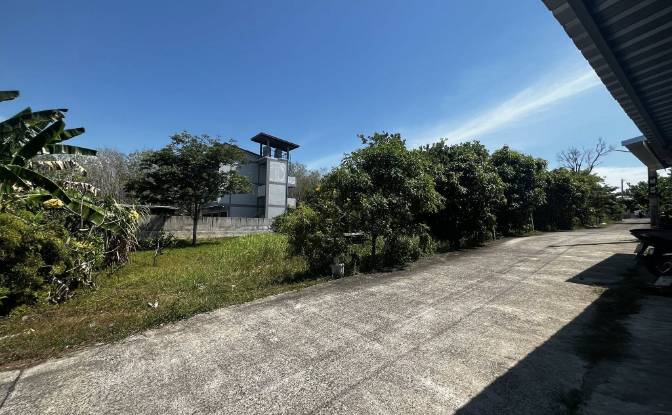 Land Lot for Sale 10177 Soi Naiyang 13 4. Photo#4 Land Lot for Sale 10177 Soi Naiyang 13 4. Photo#4