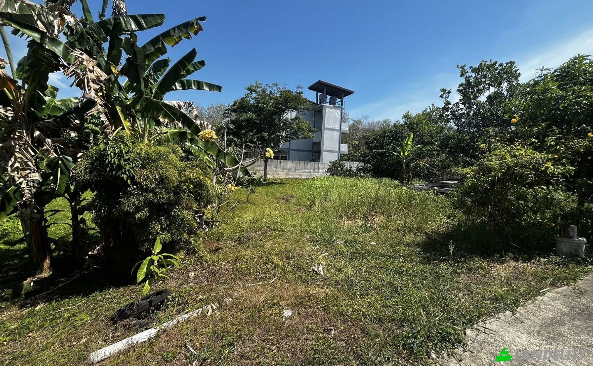 Land Lot for Sale 10177 Soi Naiyang 13 4, Tambon Sa Khu, Amphoe Thalang, Chang Wat Phuket 83110, Sakhu, Thalang District, Phuket, Thailand. Photo 6