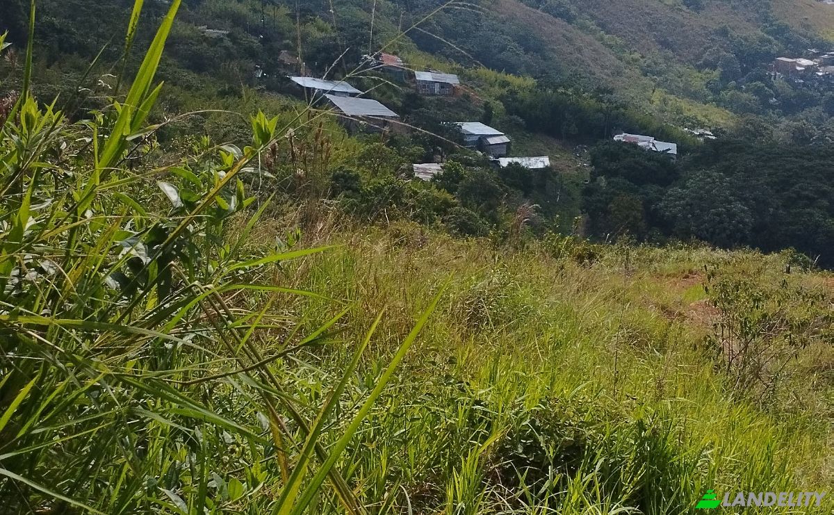 Investing/Development for Sale Via a Cristo Rey, Los Cristales Tejares, Cali, Valle del Cauca, Colombia. Photo 3