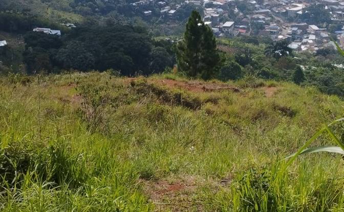 Investing/Development for Sale Via a Cristo Rey. Photo#4