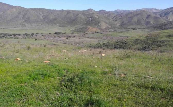 Investing/Development for Sale Marrow Valley Rd. Photo#1 Investing/Development for Sale Marrow Valley Rd. Photo#1