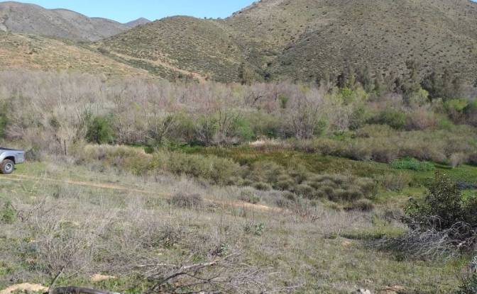 Investing/Development for Sale Marrow Valley Rd. Photo#2 Investing/Development for Sale Marrow Valley Rd. Photo#2