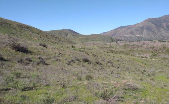 Investing/Development for Sale Marrow Valley Rd. Photo#4 Investing/Development for Sale Marrow Valley Rd. Photo#4