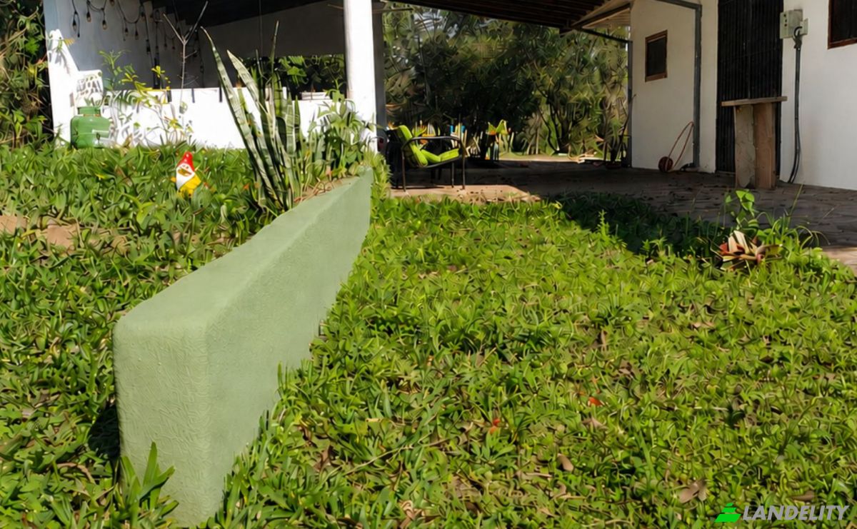 Bungalow for Sale Vista Alegre 040713, Vista Alegre, Independencia, Guaira Department, Paraguay. Photo 5