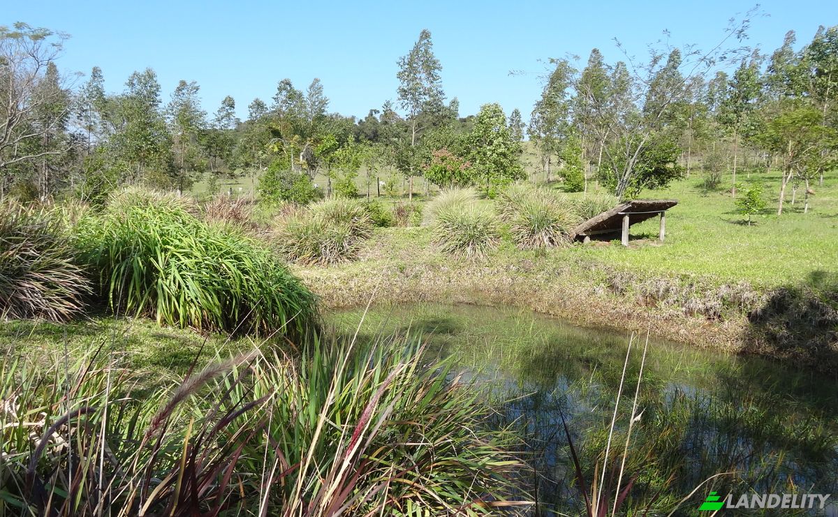 Farm/Ranch for Sale Bolas Kua, Sapucai, Paraguari Department, Paraguay. Photo 12