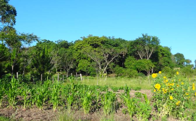 Farm/Ranch for Sale Bolas Kua, Sapucai. Photo#9