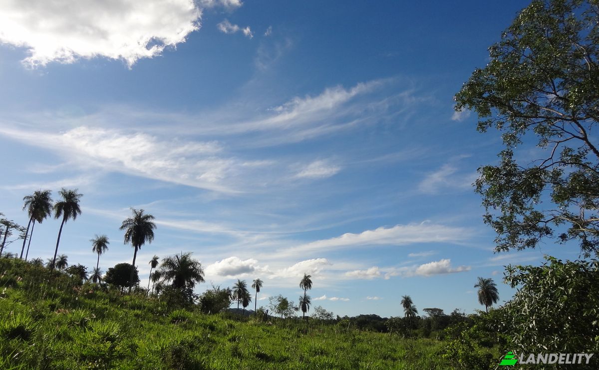 Farm/Ranch for Sale Bolas Kua, Sapucai, Paraguari Department, Paraguay. Photo 10
