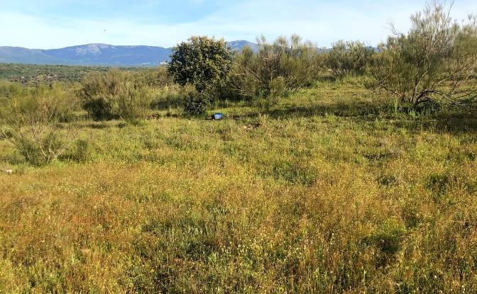 Land Lot for Sale - Colmenarejo, Spain
