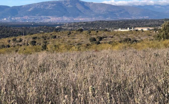 Land Lot for Sale Vereda del Madronal, Colmenarejo. Photo#5 Land Lot for Sale Vereda del Madronal, Colmenarejo. Photo#5