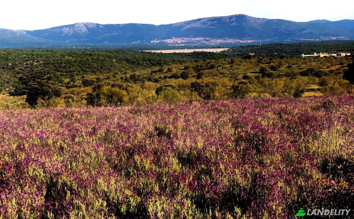 Land Lot for Sale Vereda del Madronal, Colmenarejo, Madrid, Community of Madrid, Spain. Photo 6