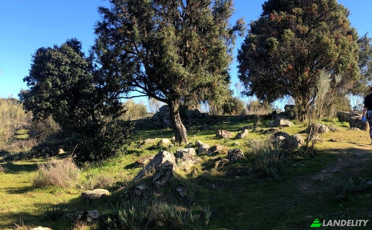 Land Lot for Sale Vereda del Madronal, Colmenarejo, Madrid, Community of Madrid, Spain. Photo 7