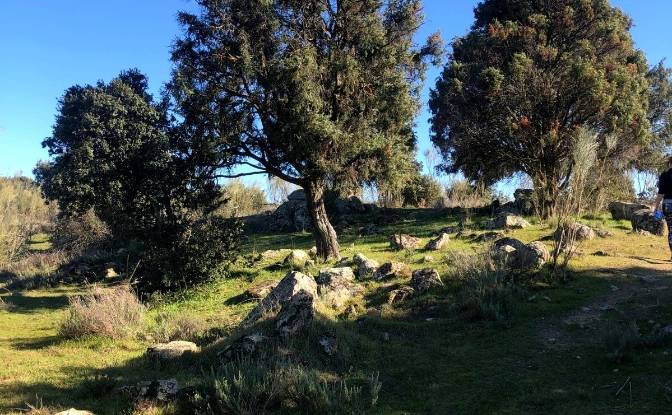 Land Lot for Sale Vereda del Madronal, Colmenarejo. Photo#7 Land Lot for Sale Vereda del Madronal, Colmenarejo. Photo#7