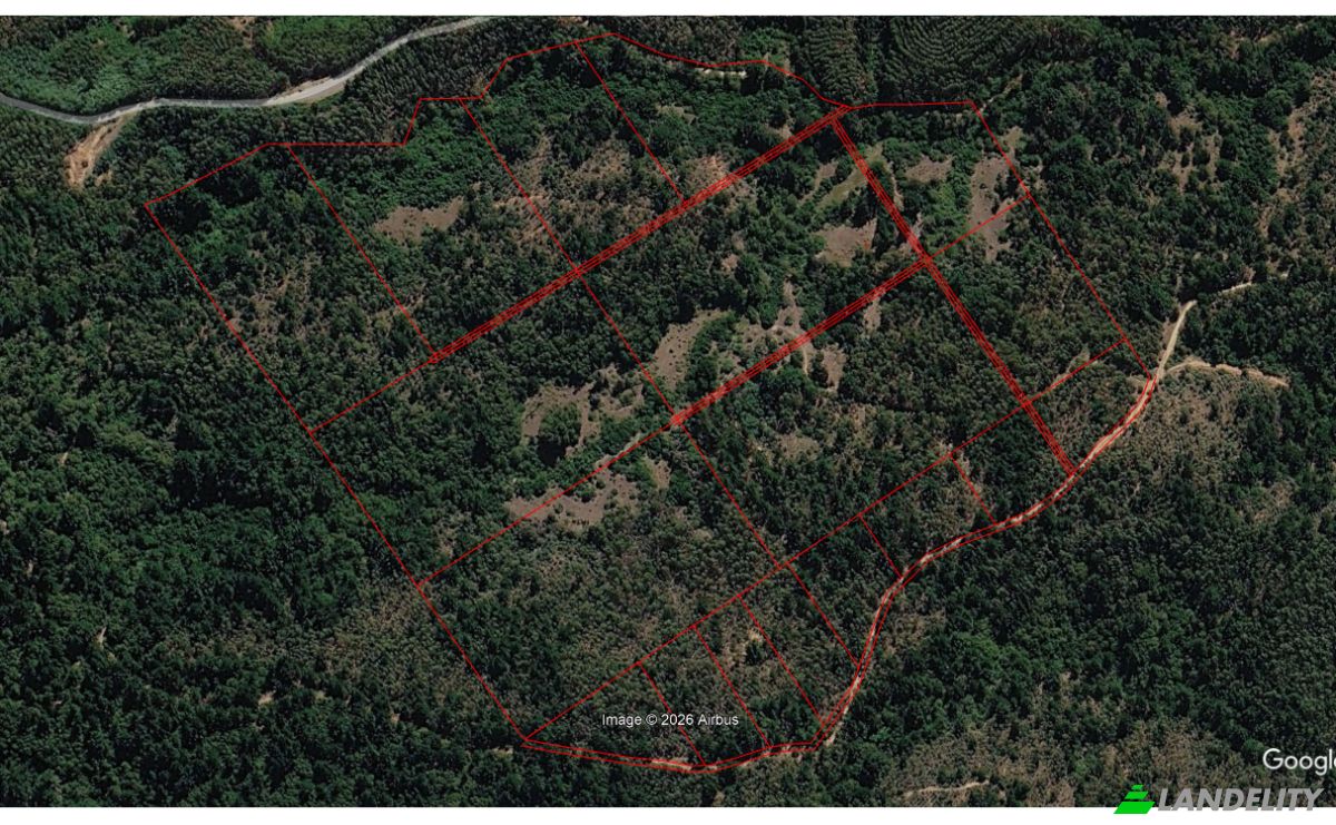 Investing/Development for Sale Angol, Malleco Province, Araucania, Chile. Photo 1