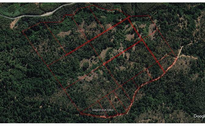 Investing/Development for Sale - Angol, Chile