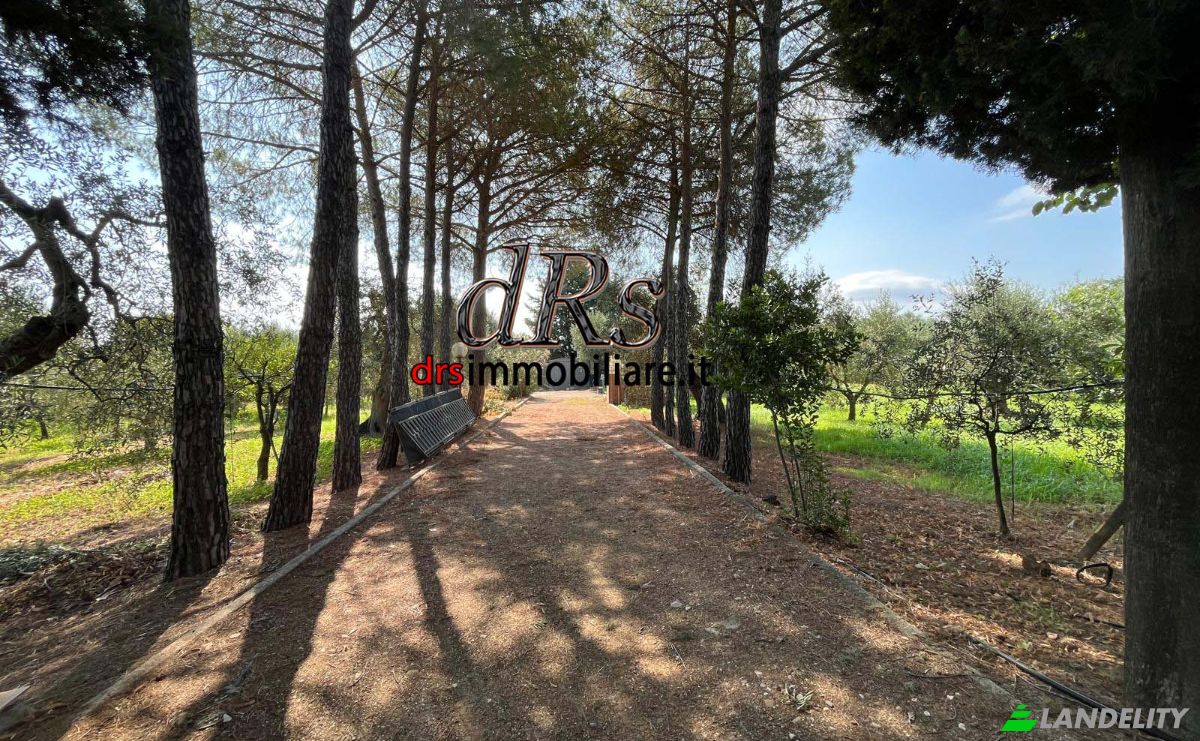 Villa for Sale 75015 Pisticci, Pisticci, Province of Matera, Basilicata, Italy. Photo 13