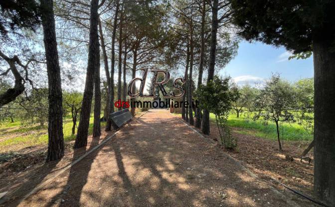 Villa for Sale 75015 Pisticci, Pisticci. Photo#13 Villa for Sale 75015 Pisticci, Pisticci. Photo#13