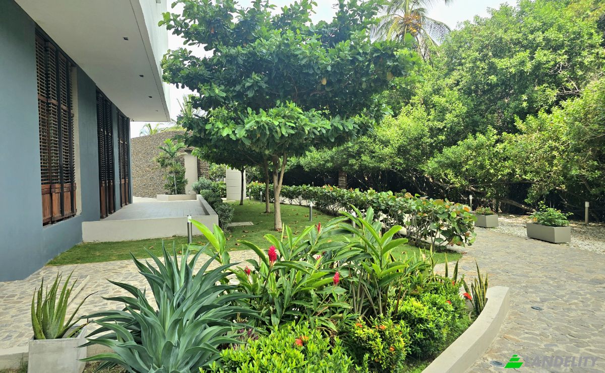 Inn/Lodge for Sale Cl 22 # 1-95, Gaira, Santa Marta, Magdalena, Colombia. Photo 5
