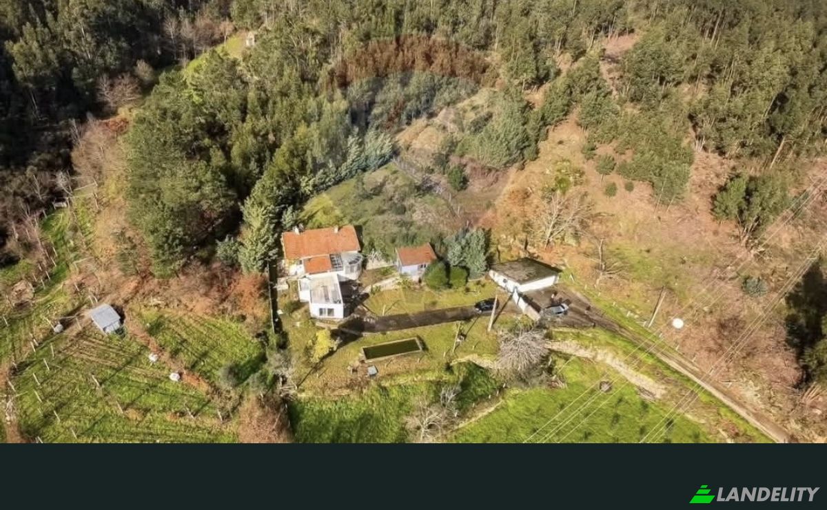 Single Family Home for Sale Tv Salgueirinho, Paredes de Viadores, Marco de Canaveses, Porto District, Portugal. Photo 1