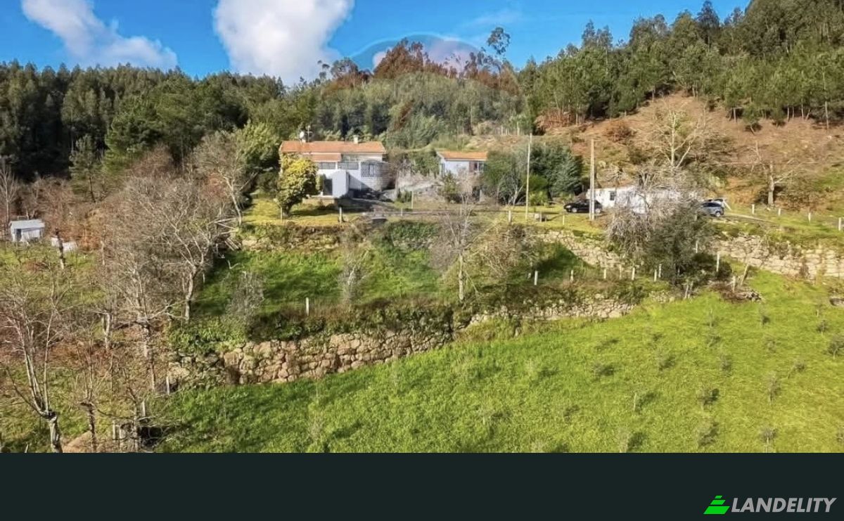 Single Family Home for Sale Tv Salgueirinho, Paredes de Viadores, Marco de Canaveses, Porto District, Portugal. Photo 3