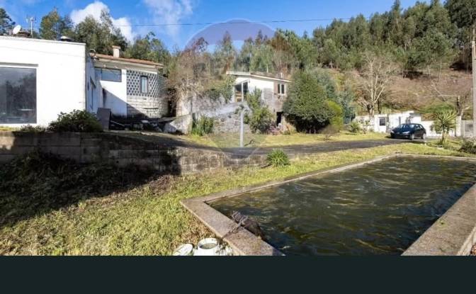 Single Family Home for Sale Tv Salgueirinho. Photo#4