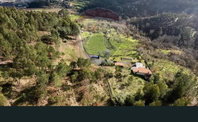 Single Family Home for Sale Tv Salgueirinho. Photo#5
