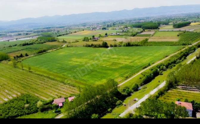 Farm/Ranch for Sale - Carsamba Samsun, Turkiye