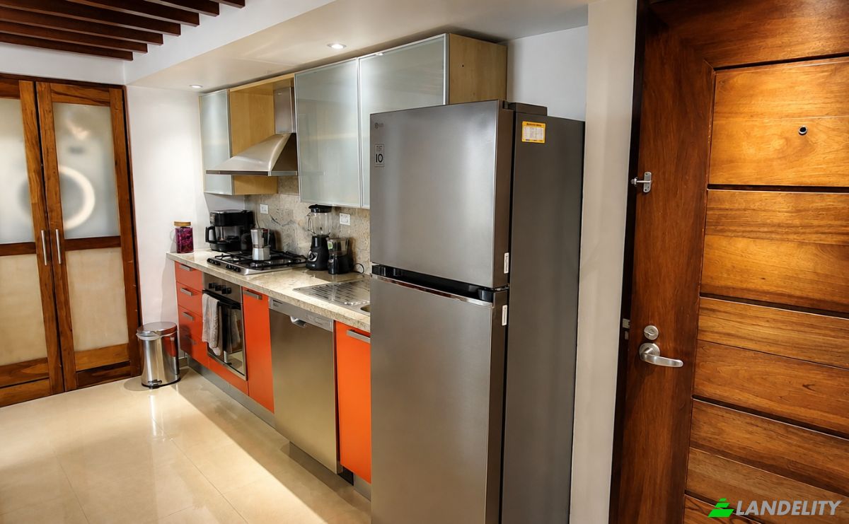 Apartment for Rent Av Pasteur, Santo Domingo, Santo Domingo de Guzman, Distrito Nacional, Dominican Republic. Photo 4